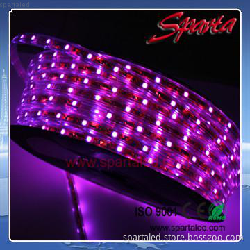 IP67 Flexible Waterproof 60 LED strip light 220v /110v